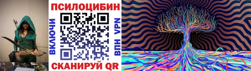 закладки  Катав-Ивановск  Псилоцибиновые грибы мухоморы 